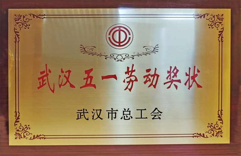 2025年6月，武汉市总工会公布2024年度劳动和技能竞赛获奖名单，中天六建荣获